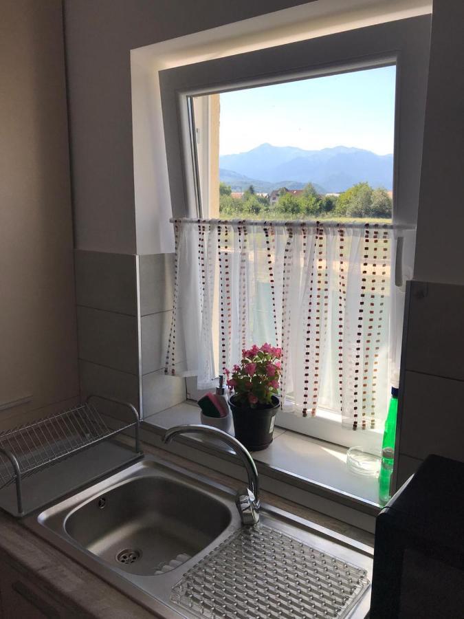 Cazare Apartament Rasnov公寓 外观 照片