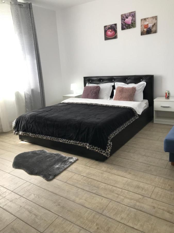 Cazare Apartament Rasnov公寓 外观 照片