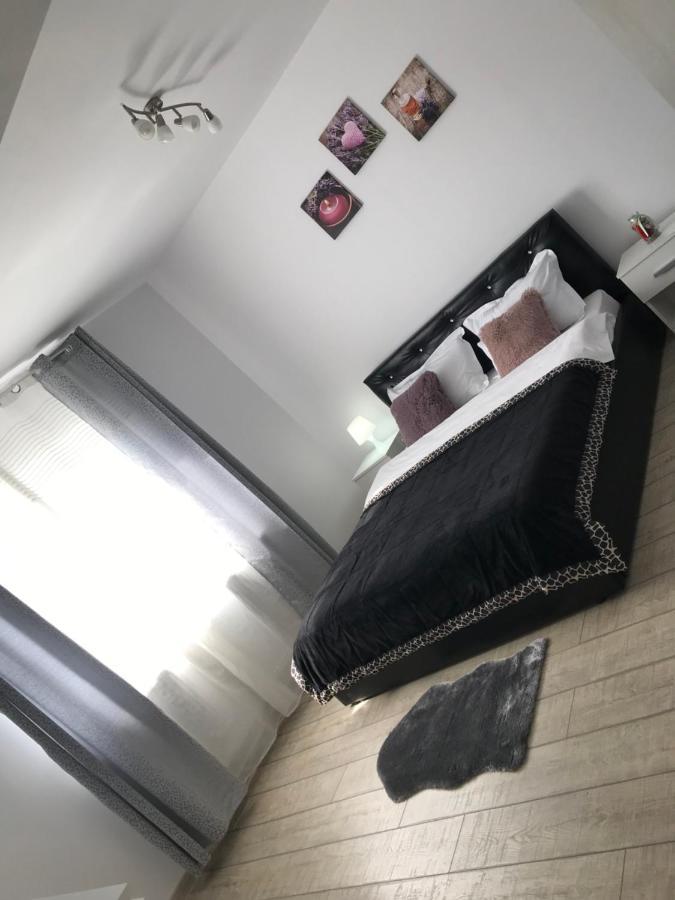 Cazare Apartament Rasnov公寓 外观 照片
